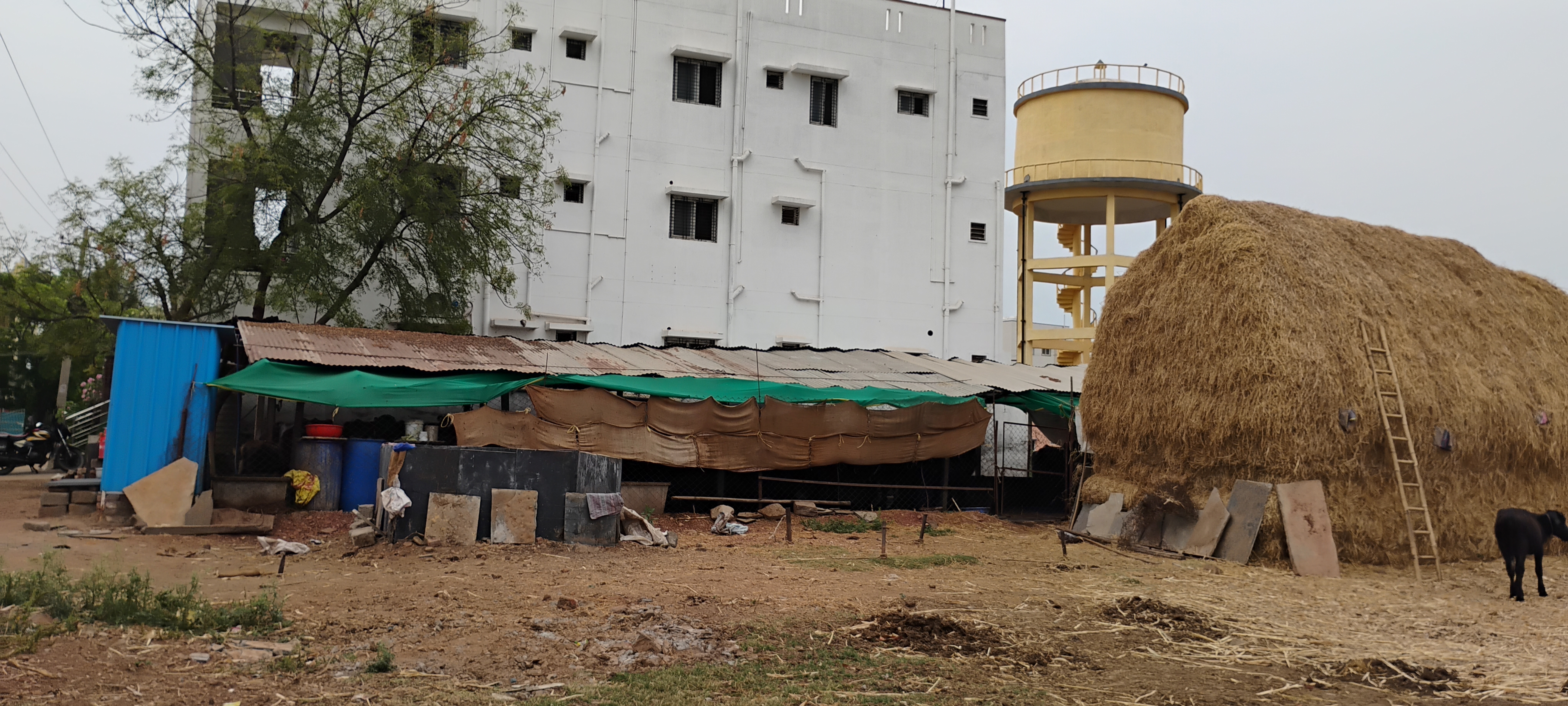 Sri Sai Traders Dairy Farm View